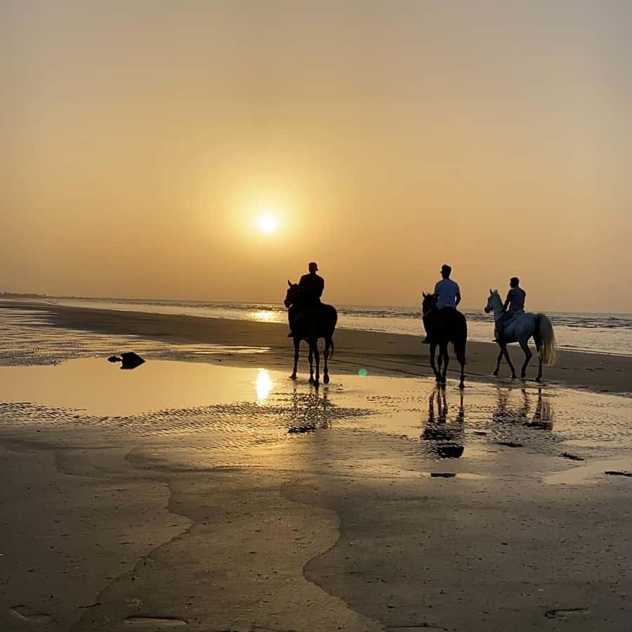 Horse riding in muscat beach - A beach ride built around the setting