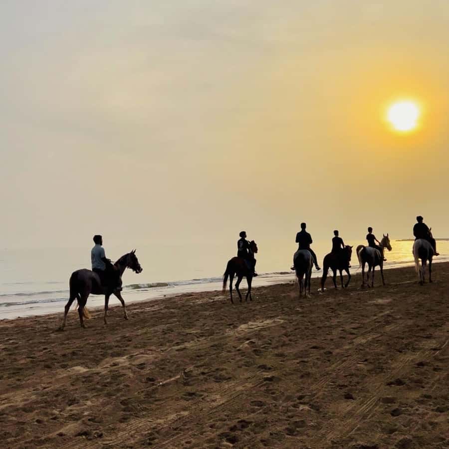 Horse riding in muscat beach - The shoreline route and riding pace