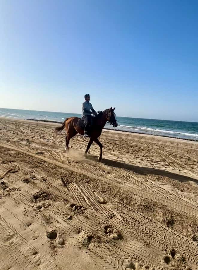 Horse riding in muscat beach - Location value for airport stops and city stays