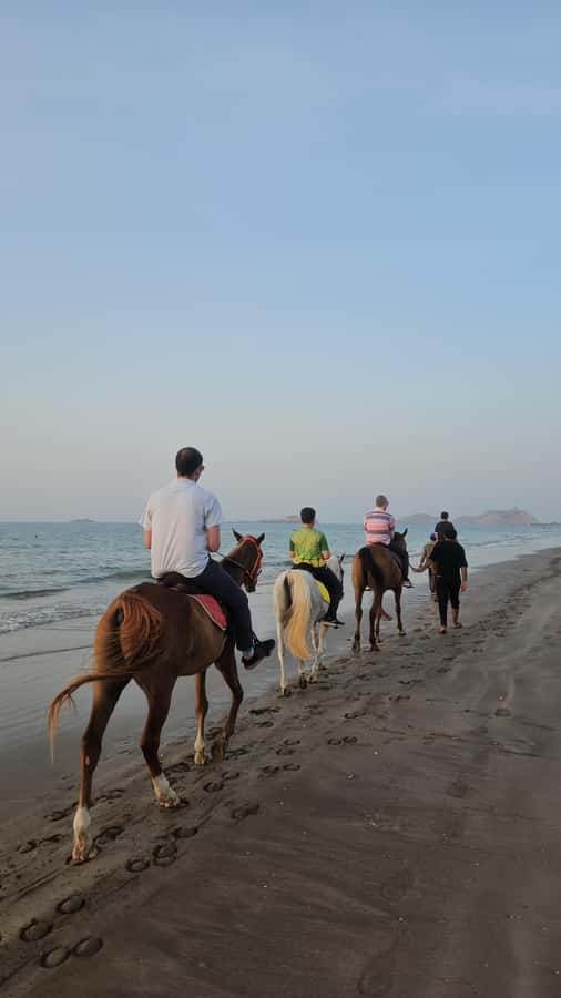 Horse Riding Muscat | Beach Horse Riding - Key points at a glance