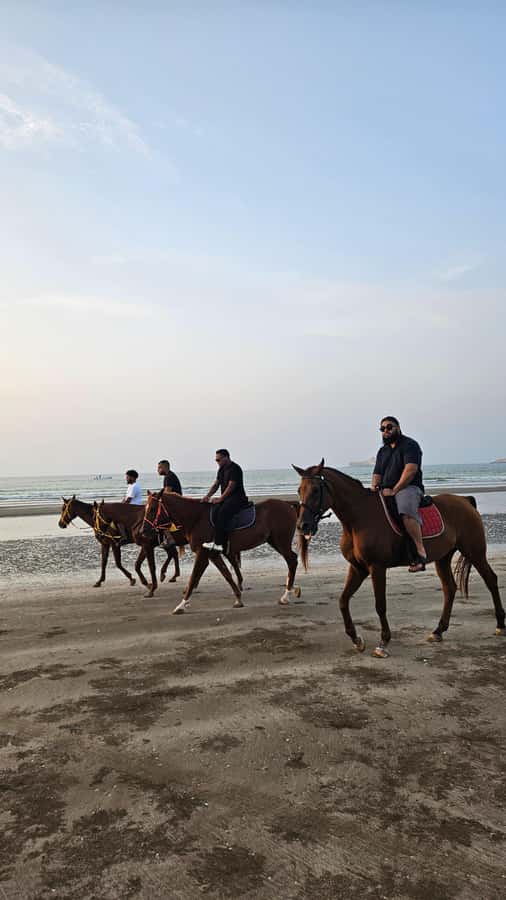 Horse Riding Muscat | Beach Horse Riding - Practical tips for a smoother ride