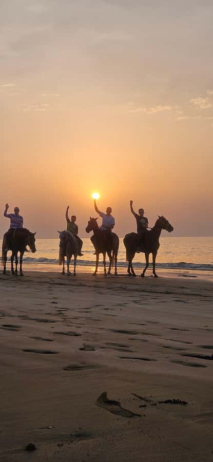 Horse Riding Muscat | Beach Horse Riding - Getting ready for the horse ride