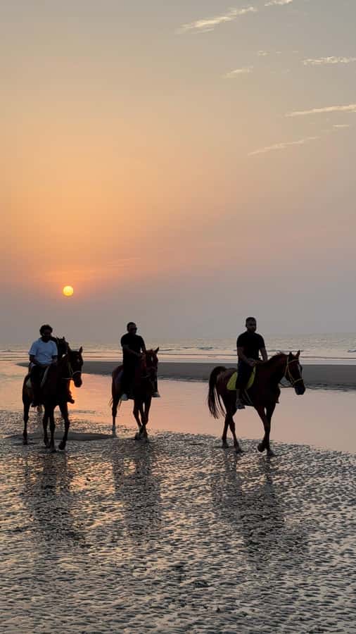 Horse Riding Muscat | Beach Horse Riding - What the one-hour itinerary feels like