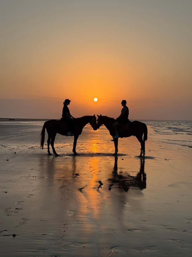 Horse Riding Muscat | Beach Horse Riding - Calm horses and steady guidance for beginners