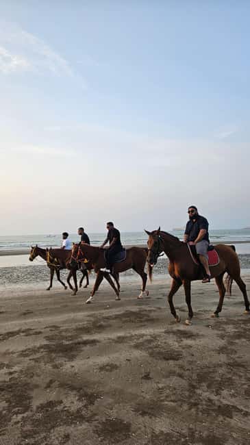 Horse Riding Muscat | Beach Horse Riding - Sunset sessions and the photo advantage