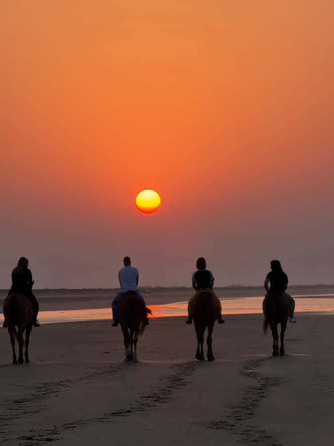 Horse Riding Muscat | Beach Horse Riding - Is $58 fair for one hour?