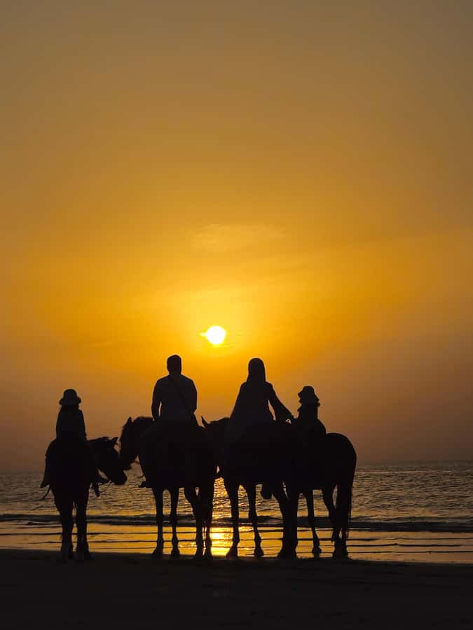 Horse Riding Muscat | Beach Horse Riding - The 55-minute trip from Muscat