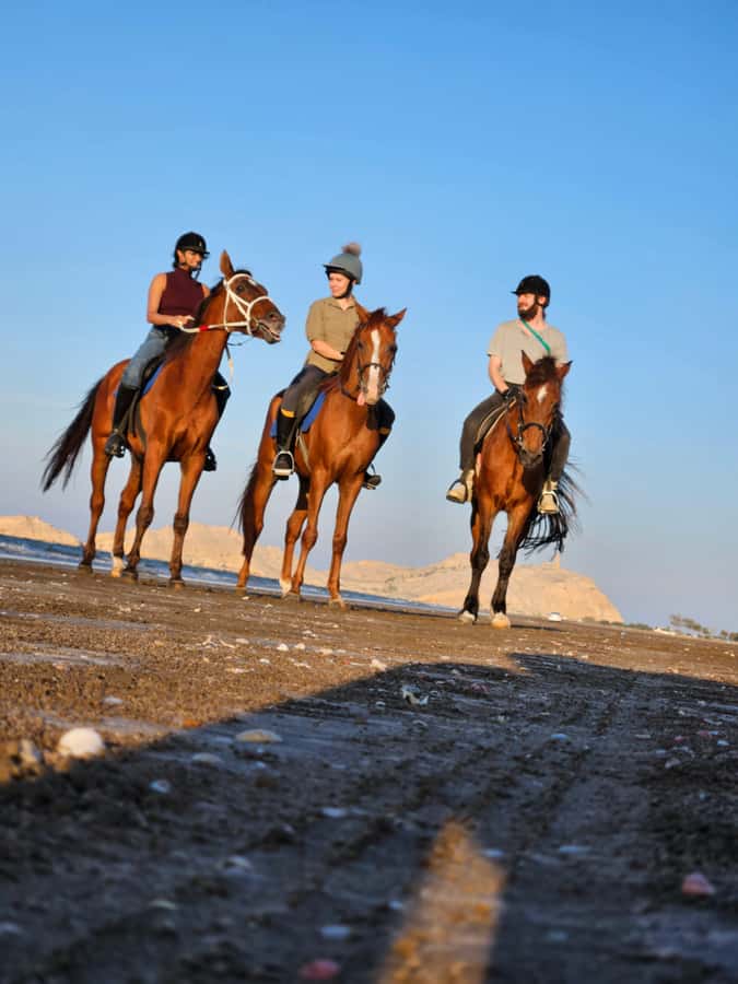 Horse Riding Oman - 2 hour ride - Sunrise or sunset: choosing the right departure
