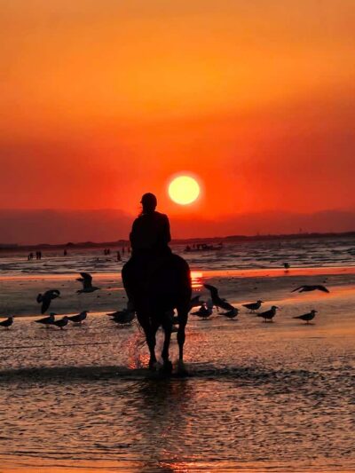 Horse Riding Oman – 2 hour ride