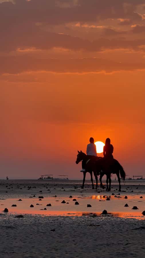 Horse Riding Oman - 2 hour ride - What the $140 price means