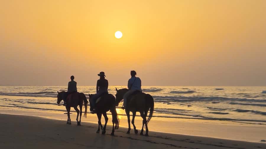 Horse Riding Oman - 2 hour ride - Clothing, limits, and practical planning