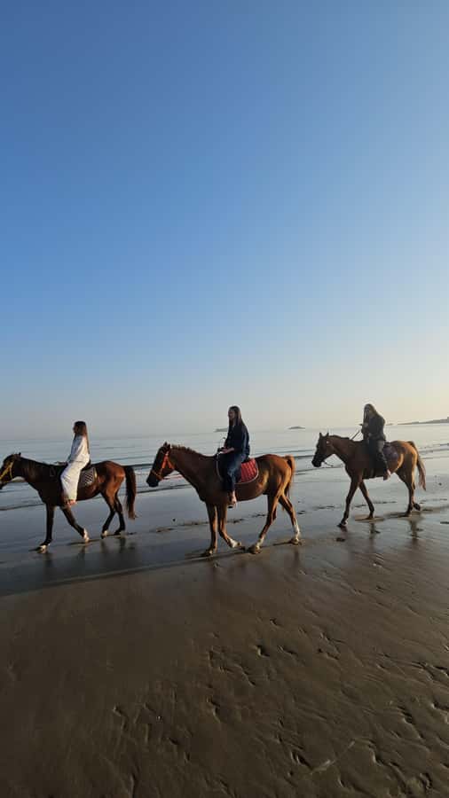 Horse Riding Oman - 2 hour ride - A note on the strongest praise