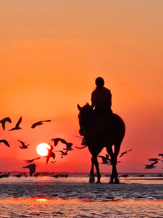 Horse Riding Oman - 2 hour ride - Cancellation and booking flexibility