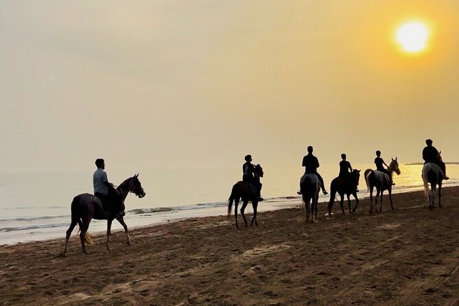 Horse Riding on the beach - Arabian horses and beginner comfort