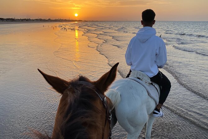 Horse Riding on the beach - What the $72 price includes