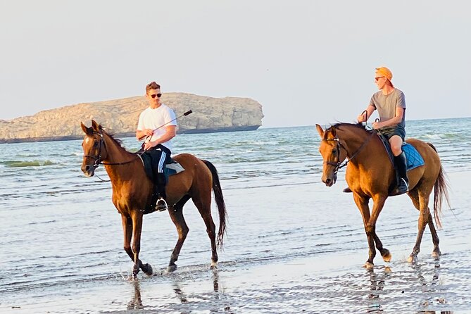 Horse Riding on the beach - Meeting the horses at the Civil Aviation Club