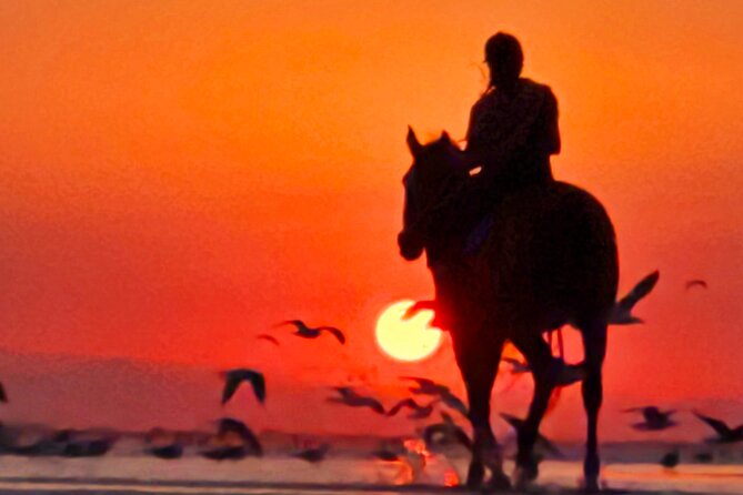 Horseback Riding Muscat Beach - Sunrise, sunset, and the value of the photos
