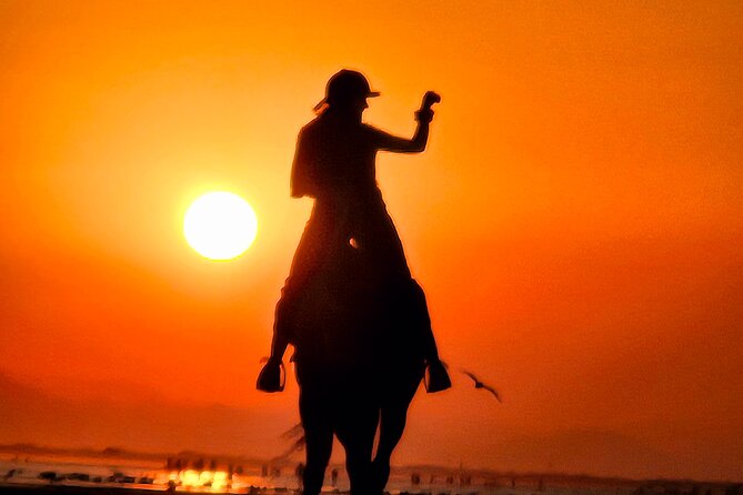 Horseback Riding Muscat Beach - How beginners and experienced riders fit together