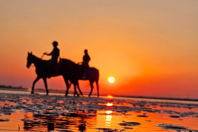 Horseback Riding Muscat Beach - Is $76.66 per person good value?