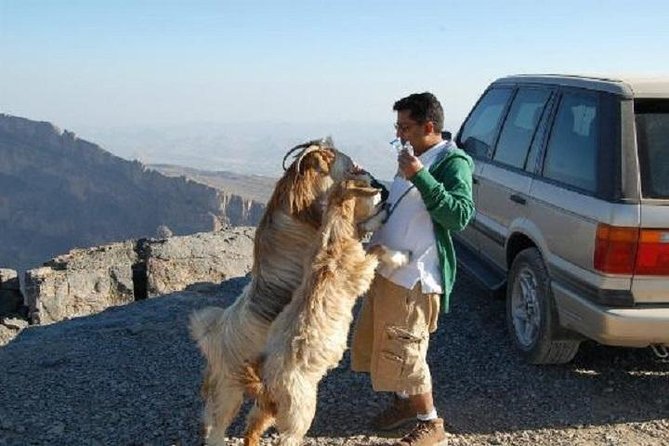 Jebel Shams Day Trip: The Grand Canyon of Oman - From Muscat to Oman’s Grand Canyon