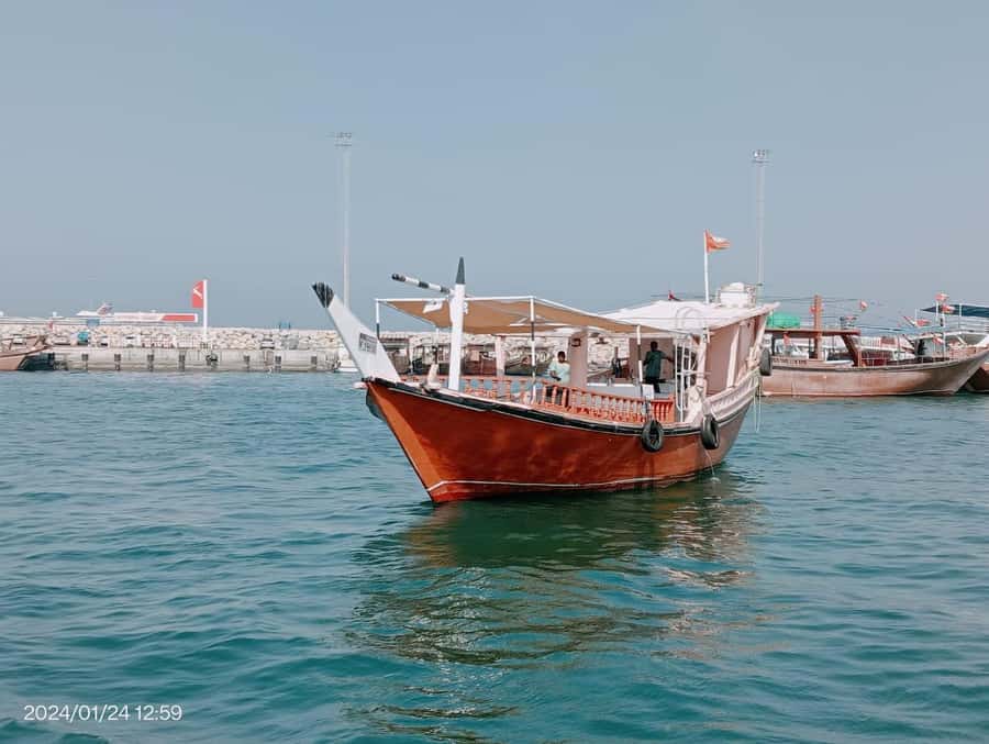 Khasab: Dhow Cruise with Lunch, Dolphin Watching& Snorkeling - Six hours among Musandam’s steep fjords