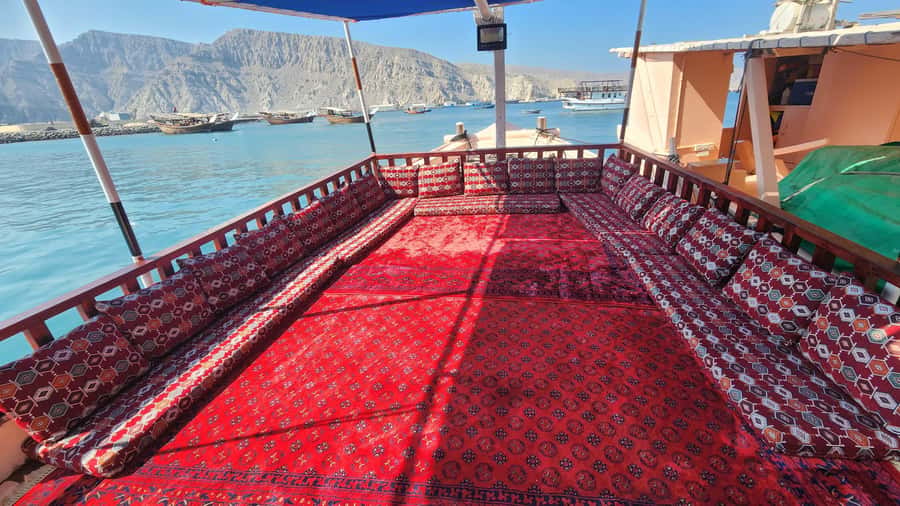 Khasab: Half-Day Dhow Cruise, Dolphin Watching, & Snorkeling - Swimming and snorkeling for 45 minutes