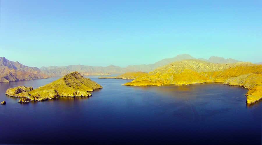 Khasab: Half-Day Dhow Cruise with Dolphin Watching - Practical Tips Before You Reserve