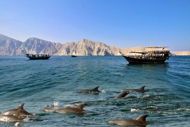 Khasab Musandam Full Day dhow cruise with lunch and Snorkeling - Telegraph Island and the first swim