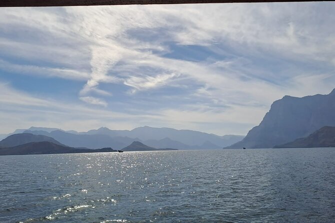 Khasab Musandam Half Day Dhow Cruise and Snorkeling Trip - Dolphins in their natural setting