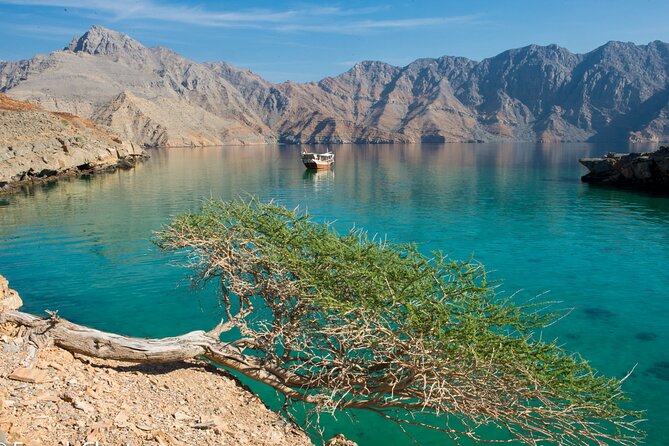 Khasab Musandam Half Day Dhow Cruise - From Khasab to the Musandam fjords