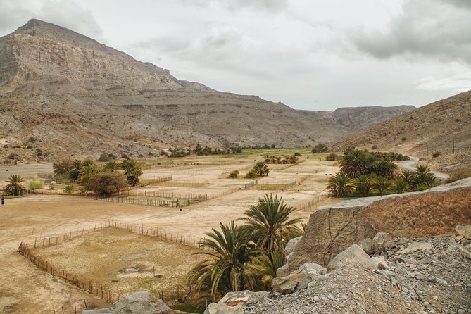 Khasab Musandam Mountain Safari - Fossils, inscriptions, and a very old mountain story