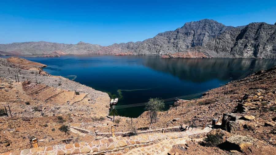 Khasab Musandam |Telegraph Island |Dhow Cruise | Dolphins - Should you book this dhow cruise?