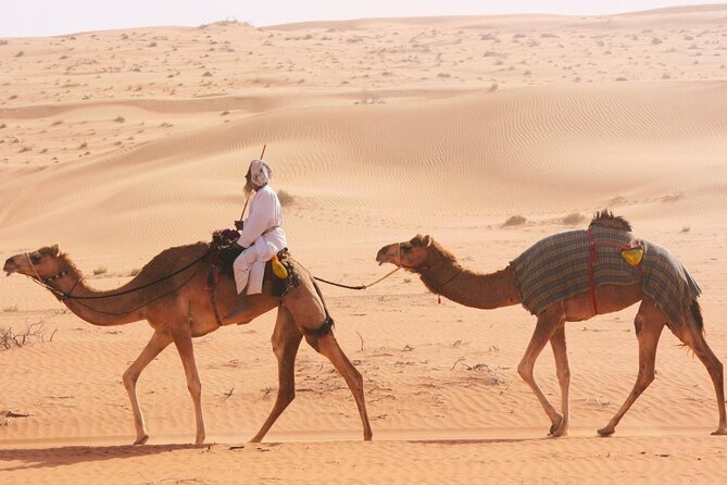 Luxury Sunset Desert Safari - Rub Al Khali and the real dune-bashing session