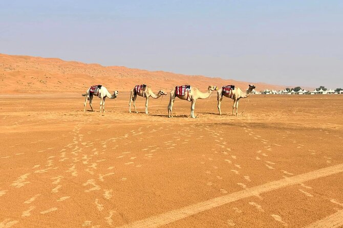 Luxury Sunset Desert Safari - Sunset, Arabic coffee, and the quietest part of the day