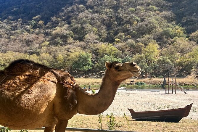 Mountain Safari, Camels, waterfalls & lunch (Group Tour) - What the $150 price includes