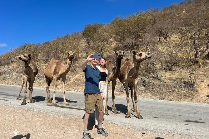 Mountain Safari, Camels, waterfalls & lunch (Group Tour) - Timing, comfort, and practical limits