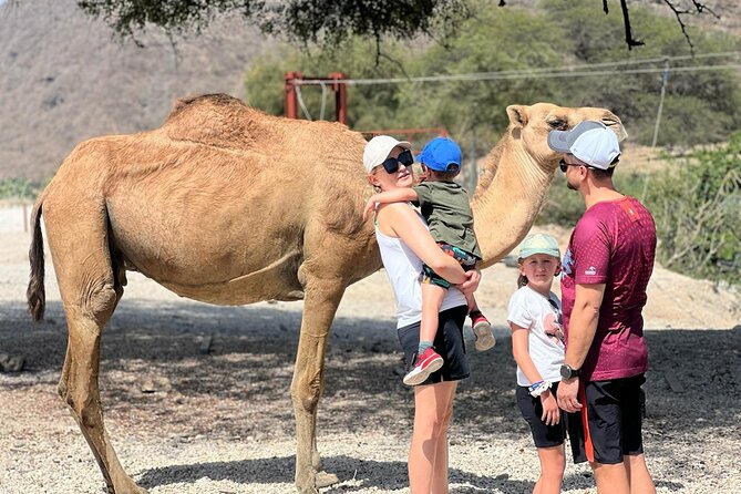 Mountain Safari, Camels, waterfalls & lunch (Group Tour) - Wadi Darbat, where water depends on the season