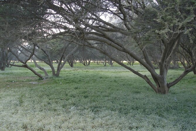 Mountain Safari in Jebel Harim - Food, water, and the four-hour timing