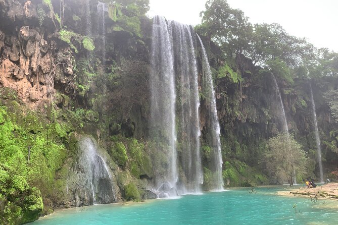 Mountain Safari Private Tour - Why this private Salalah tour works well