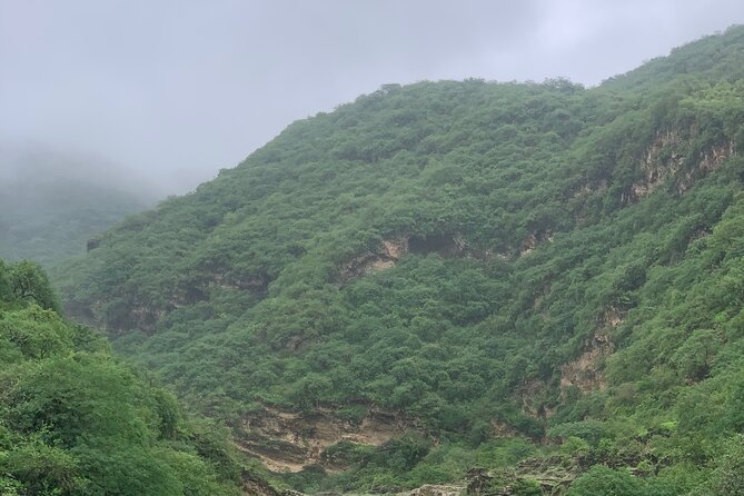 Mountain Safari Private Tour - Guides, driving, and the private vehicle