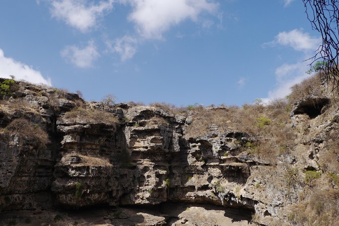 Mountain Tour - Darbat falls, Jebel Samhan, sinkholes, baobabs - Wadi Darbat: water, green ground, and camels