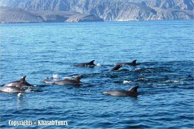Musandam Khasab Day Trip and Dhow Cruise from Dubai - Khasab town, the fort, and the wider peninsula