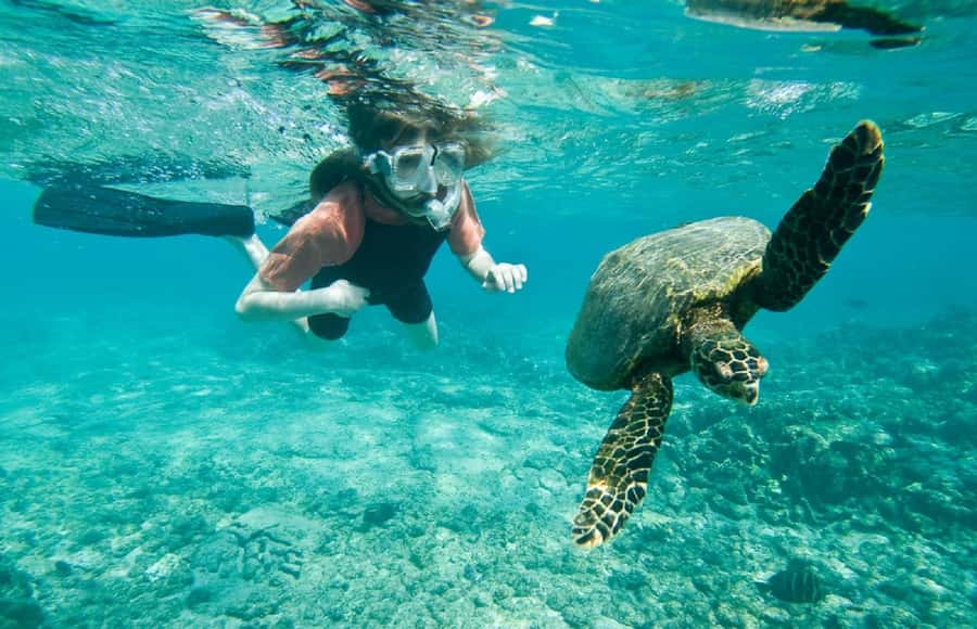 Muscat: 4-Hour Snorkeling Tour with Dolphin watching - What happens on the boat