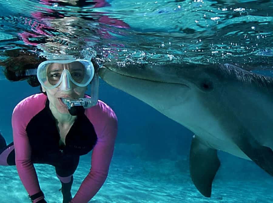 Muscat: 4-Hour Snorkeling Tour with Dolphin watching - Snorkeling in shallow water