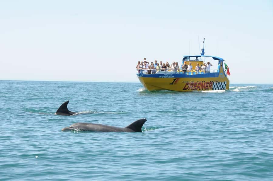 Muscat: 4-Hour Snorkeling Tour with Dolphin watching - Who should book this outing?