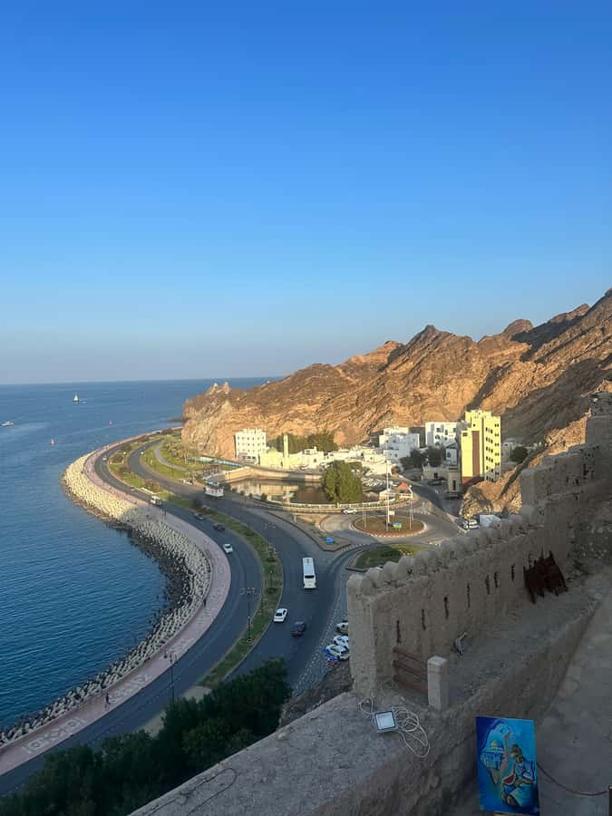 Muscat : 4 hours private Tour of Muscat City with Pick-up - A smart four-hour introduction to Muscat