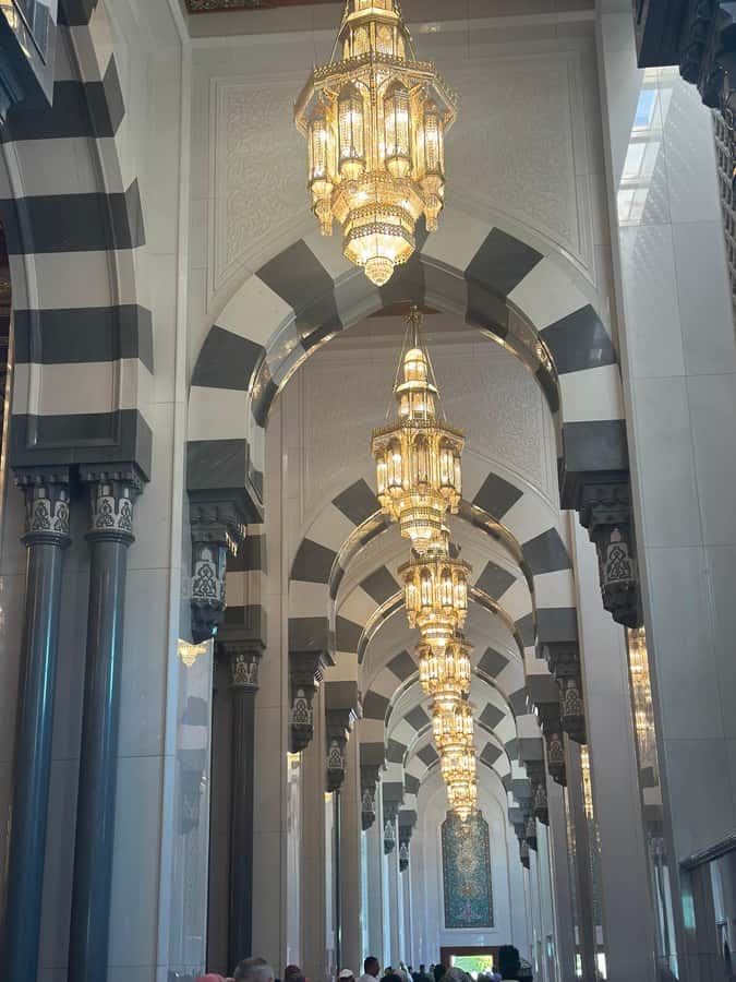 Muscat : 4 hours private Tour of Muscat City with Pick-up - The corniche gives you Muscat’s best easy walk