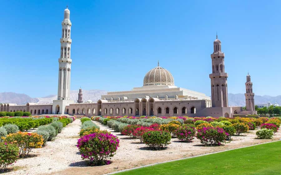 Muscat : 4 hours private Tour of Muscat City with Pick-up - Contemporary Oman at the Royal Opera House
