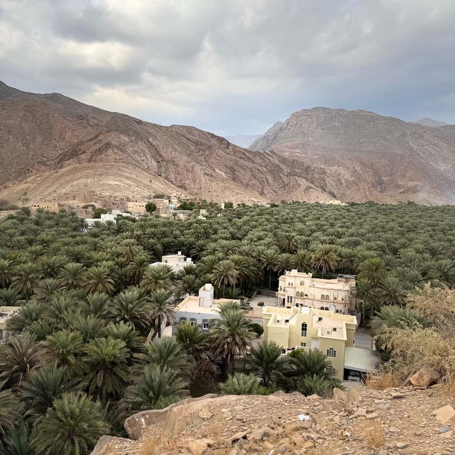 Muscat: 4x4 Adventure Through Jebel Akhdar and Nizwa - The guide can make or break the day