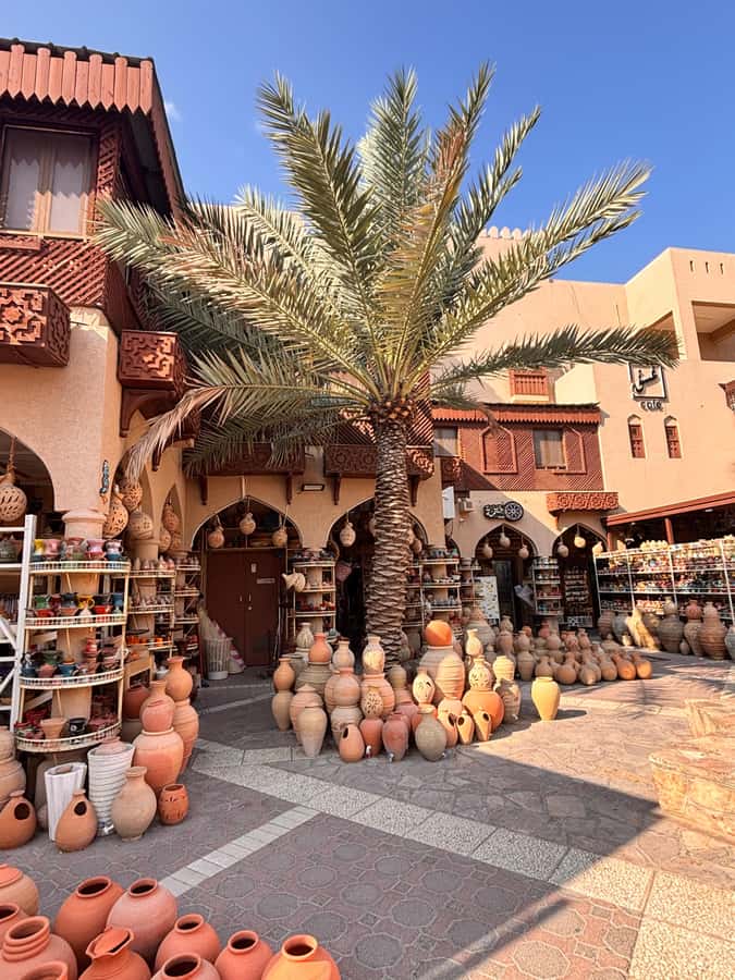 Muscat: 4x4 Adventure Through Jebel Akhdar and Nizwa - Who should book this Oman excursion?